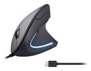 Souris –  – 245118