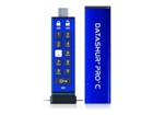 USB Minnepinner –  – IS-FL-DA3C-256-256