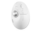 อุปกรณ์ชี้ตำแหน่ง –  – K72179WW
