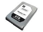 Server Hard Drives –  – 1EX0111
