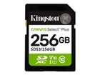 Kad imbas –  – SDS3/256GB