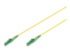 Patch-Kabel –  – DK-2933-10-APC-SX