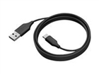 USB Kabler –  – 14202-10