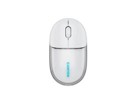 Mouse																																																																																																																																																																																																																																																																																																																																																																																																																																																																																																																																																																																																																																																																																																																																																																																																																																																																																																																																																																																																																																					 –  – CNS-CMSW24W