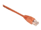 Patch Cables –  – EVNSL649-0006