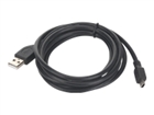 USB kaablid –  – CCP-USB2-AM5P-6