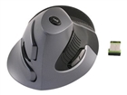 Mice –  – CST3645A