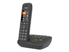 Brezžični telefoni																								 –  – S30852-H2927-B101