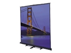Projector Screens –  – 40253