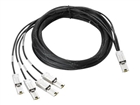SAS Cables –  – AN976A