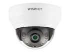Wired IP Cameras –  – QND-6012R1