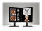 Computer Monitors –  – K9601788