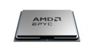 Procesadores AMD –  – 100-000001174