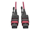 Patch Cables –  – N845-03M-12-MG