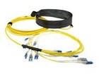Patch Cable –  – DC5565