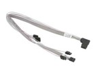 Cables SAS –  – CBL-SAST-0654