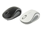 Souris –  – MUSW-3B-01-MX