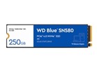 SSD, Solid State Drive –  – WDS250G3B0E