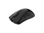 Souris –  – NMG-2379