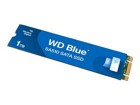 Solid-State-Laufwerke –  – WDS100T3B0B
