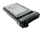 Serverfestplatten –  – AXD-PE100072SD6
