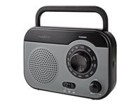 Portable Radios –  – RDFM1340GY