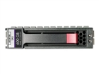 Serverfestplatten –  – 516828-B21