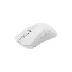 Souris –  – NMG-2380