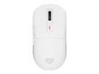 Souris –  – NMG-2194