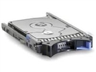 Interne Harddisker –  – 43W7482-RFB