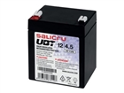 UPS Battery –  – 013BS000006