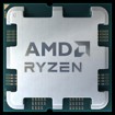 AMD –  – 100-000000597