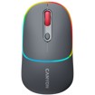 Mice –  – CNS-CMSW22DG