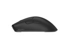 Souris –  – NMG-2381
