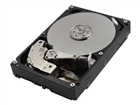 Internal Hard Drives –  – MG06ACA10TE