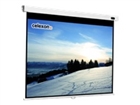 Projector Screens –  – 1090043