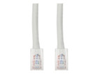 Patch Cables –  – ADD-1FCAT6NB-WE