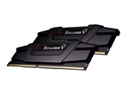 DRAM																								 –  – F4-2666C19D-64GVK
