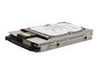 Server Hard Drives –  – 104663-001