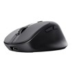 Souris –  – 25991