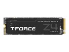 SSD, Solid State Drives –  – TM8FPP001T0C129
