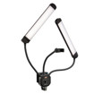 Studio Light –  – FTS-11B