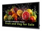 LCD/LED Großformat Displays –  – 32BDL5050D/00