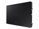 Disques durs électroniques / SSD –  – MS-SSD-256GB-002