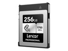 Flash Kort –  – LCXEXSL256G-RNENG