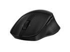 Ratones –  – 8T6M0UT#ABA