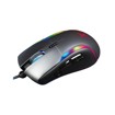 Mouse																																																																																																																																																																																																																																																																																																																																																																																																																																																																																																																																																																																																																																																																																																																																																																																																																																																																																																																																																																																																																																					 –  – FXR-HM-75