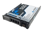 SSD, Solid State Drives –  – SSDEP40DL960-AX