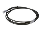 Cables de red –  – UTP6AX50BL