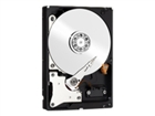 Interne Festplatten –  – WDBH2D0030HNC-ERSN